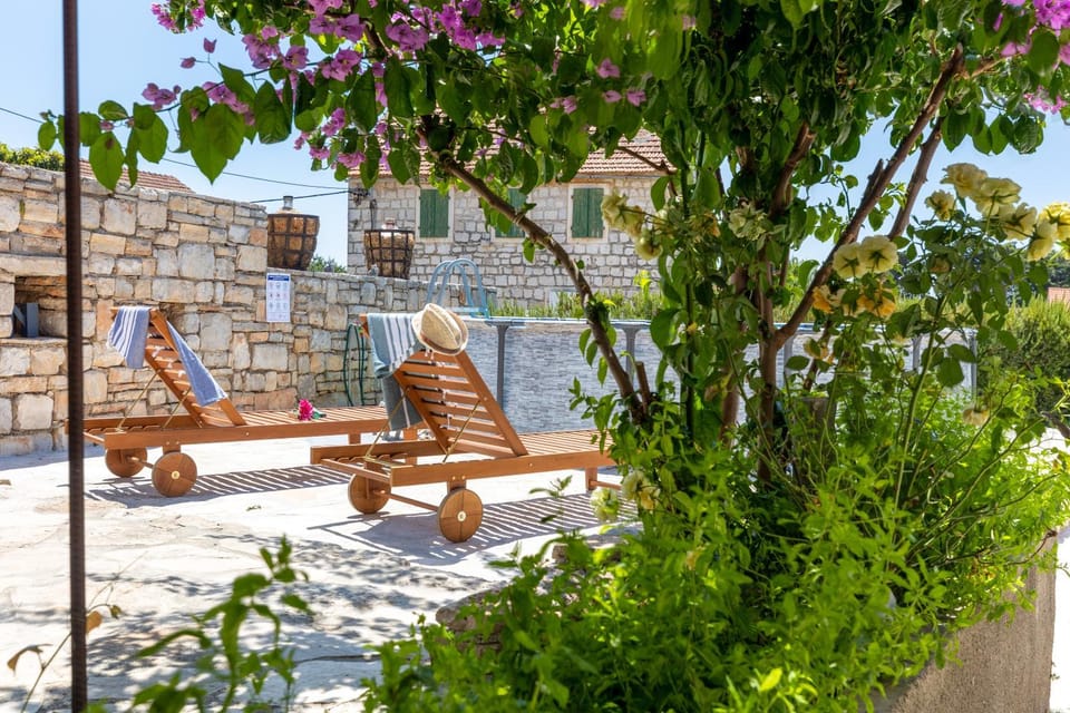 Day, Garden, Garden view, sunbed