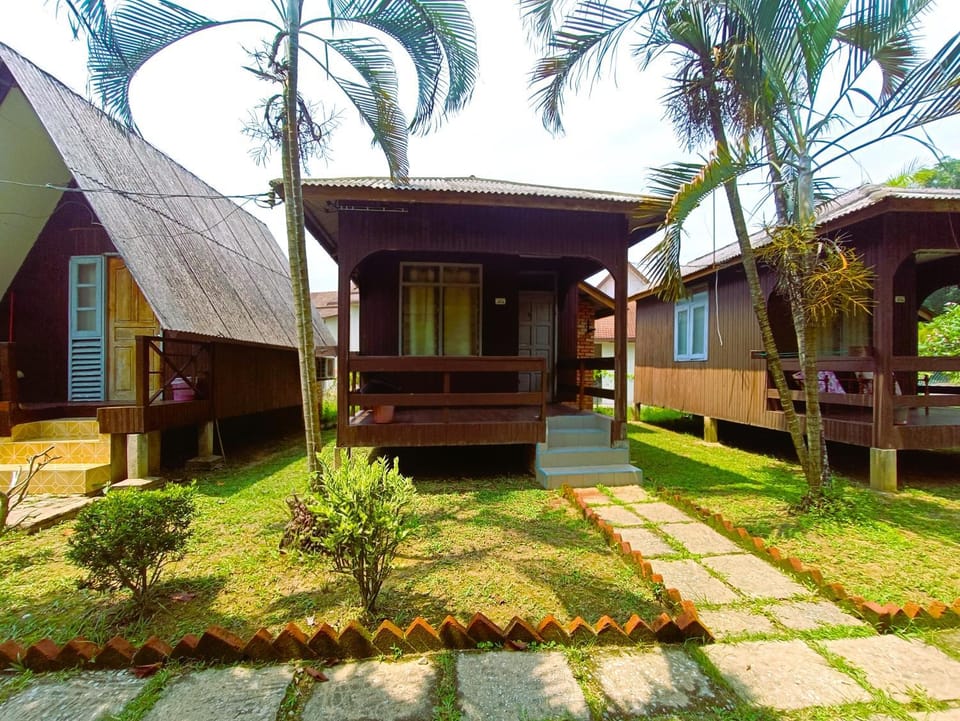 Property building, Day, Garden, Garden view