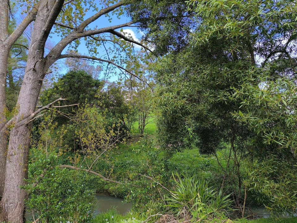 Natural landscape, River view