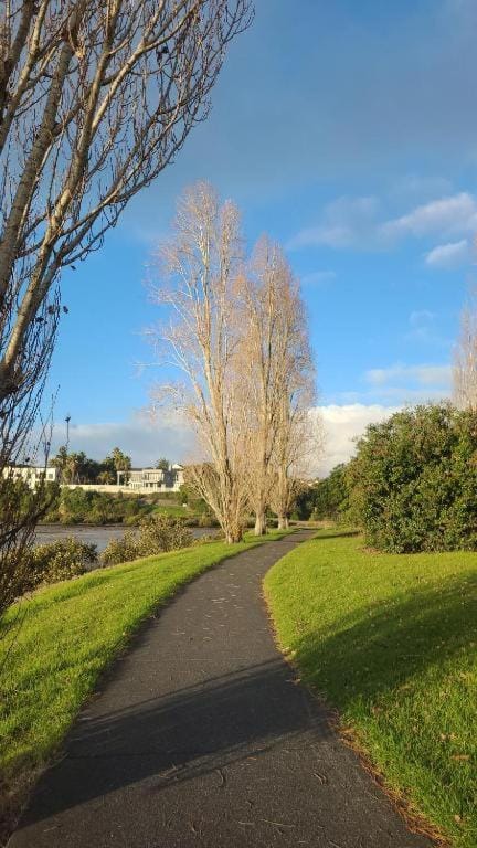 unlisted House in Auckland