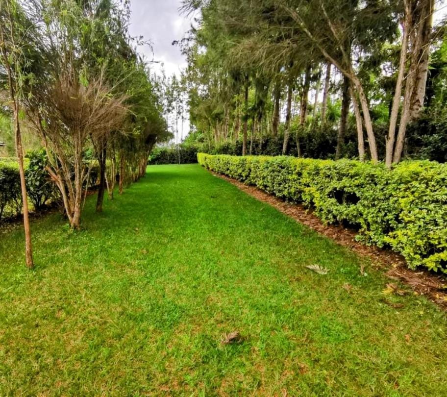 Havlin's Haven Apartment in Kenya