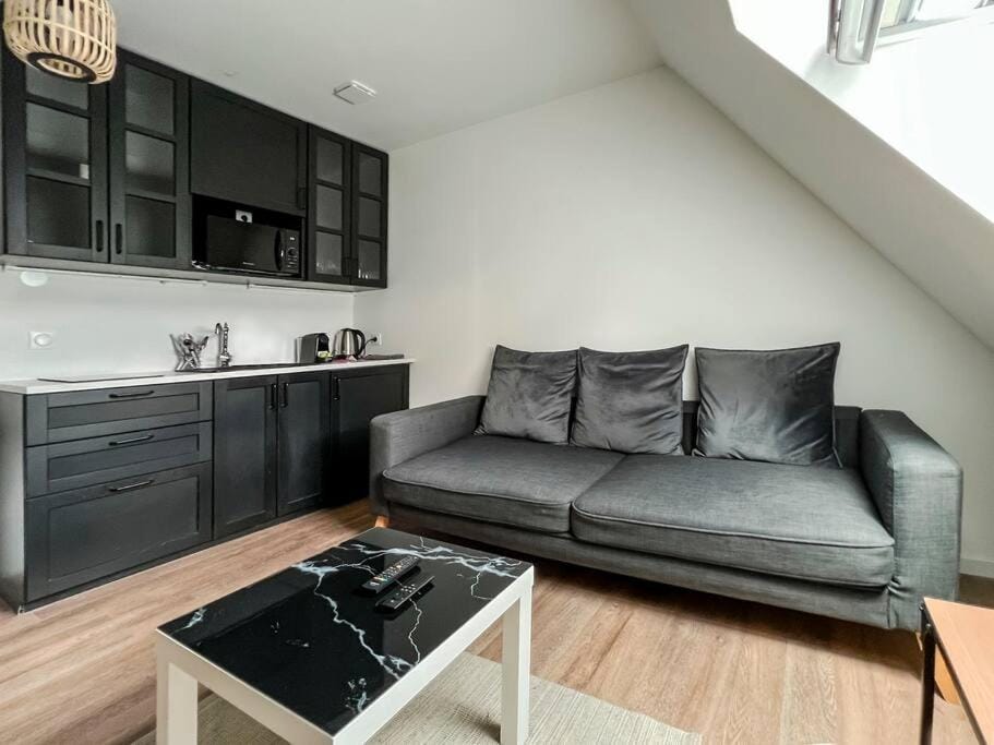COPENHAGUE- Cathédrale, Maison du XVI siècle Apartment in Reims