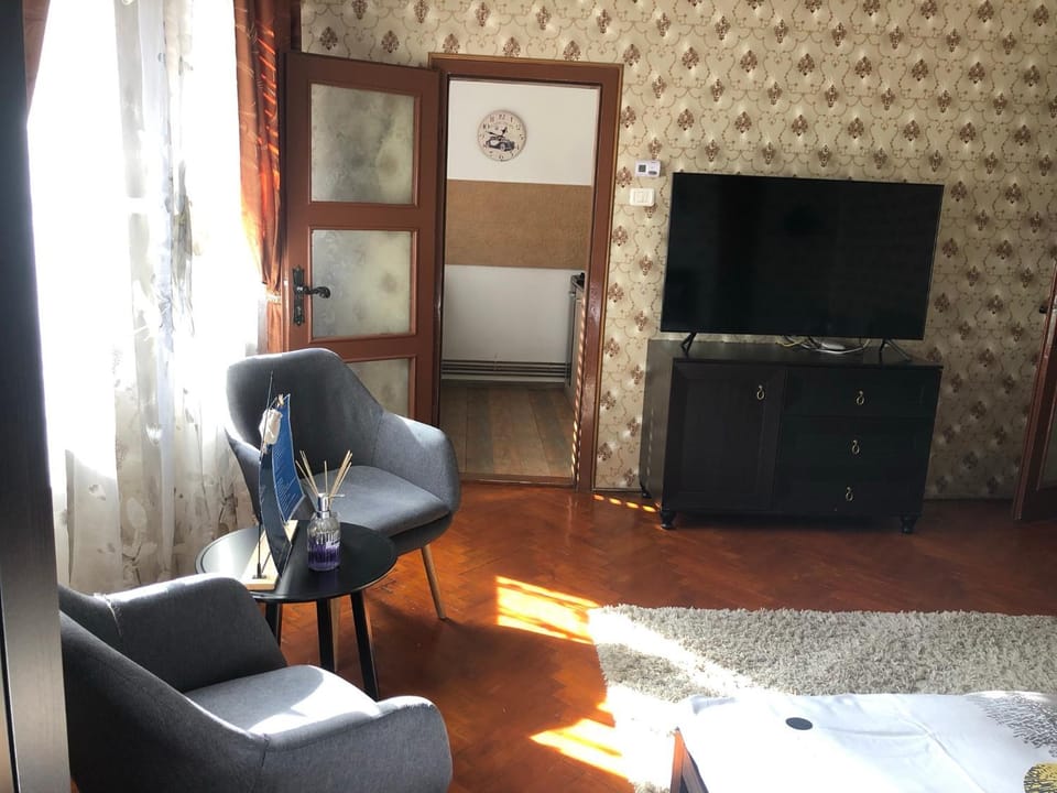 Schei Studio 1 Apartment in Brasov