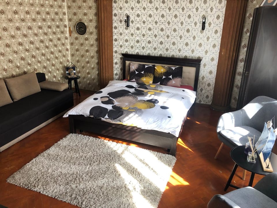 Schei Studio 1 Apartment in Brasov