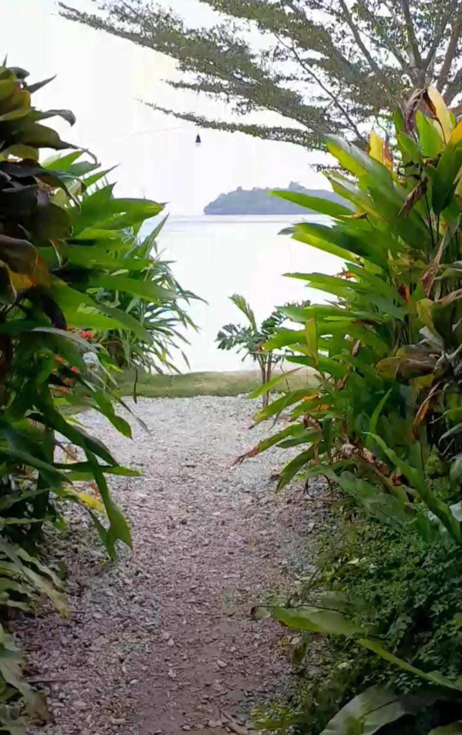 Apollo Bungalows Bed and Breakfast in Indonesia