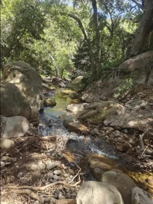 Hiking