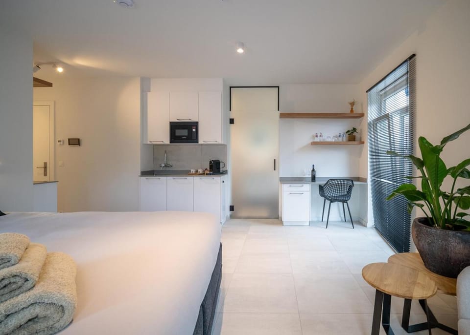 Bed, Kitchen or kitchenette, Photo of the whole room, minibar