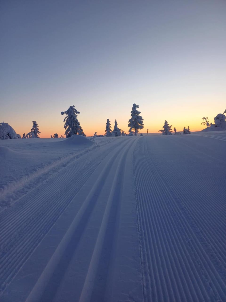 Skiing, Skiing