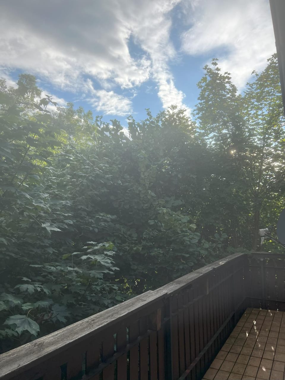 View (from property/room)