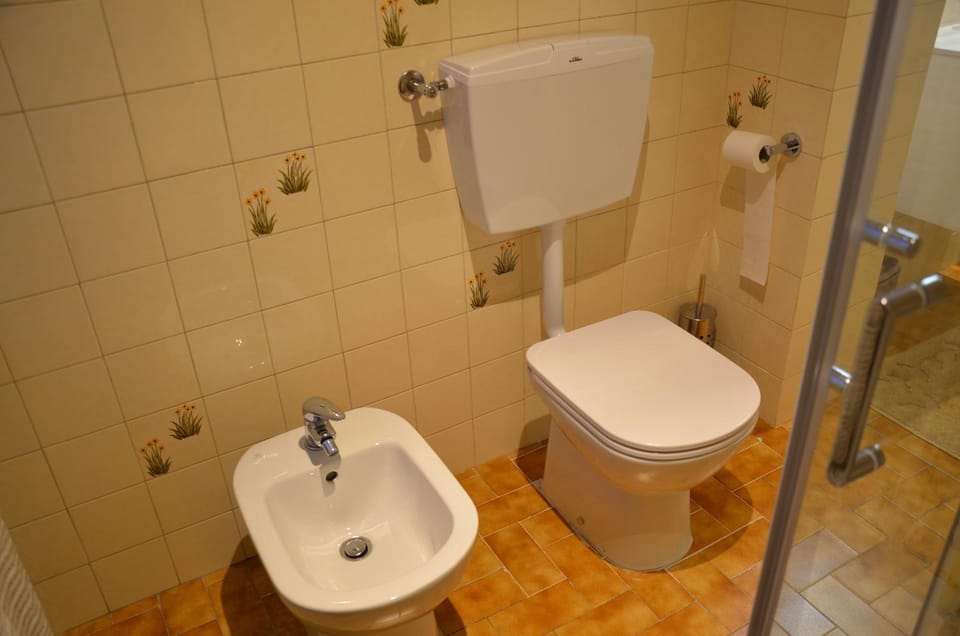 Shower, Toilet, Bathroom, bidet