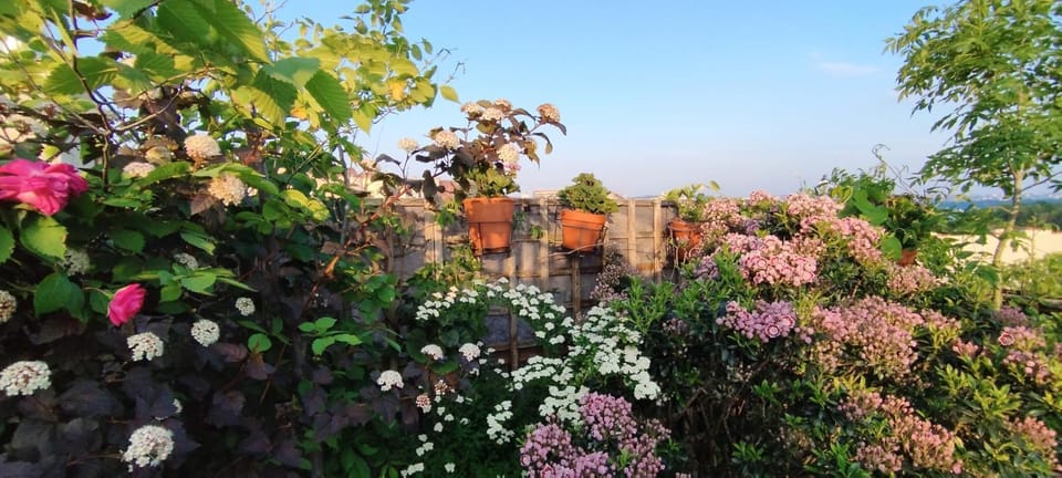 Garden, Balcony/Terrace