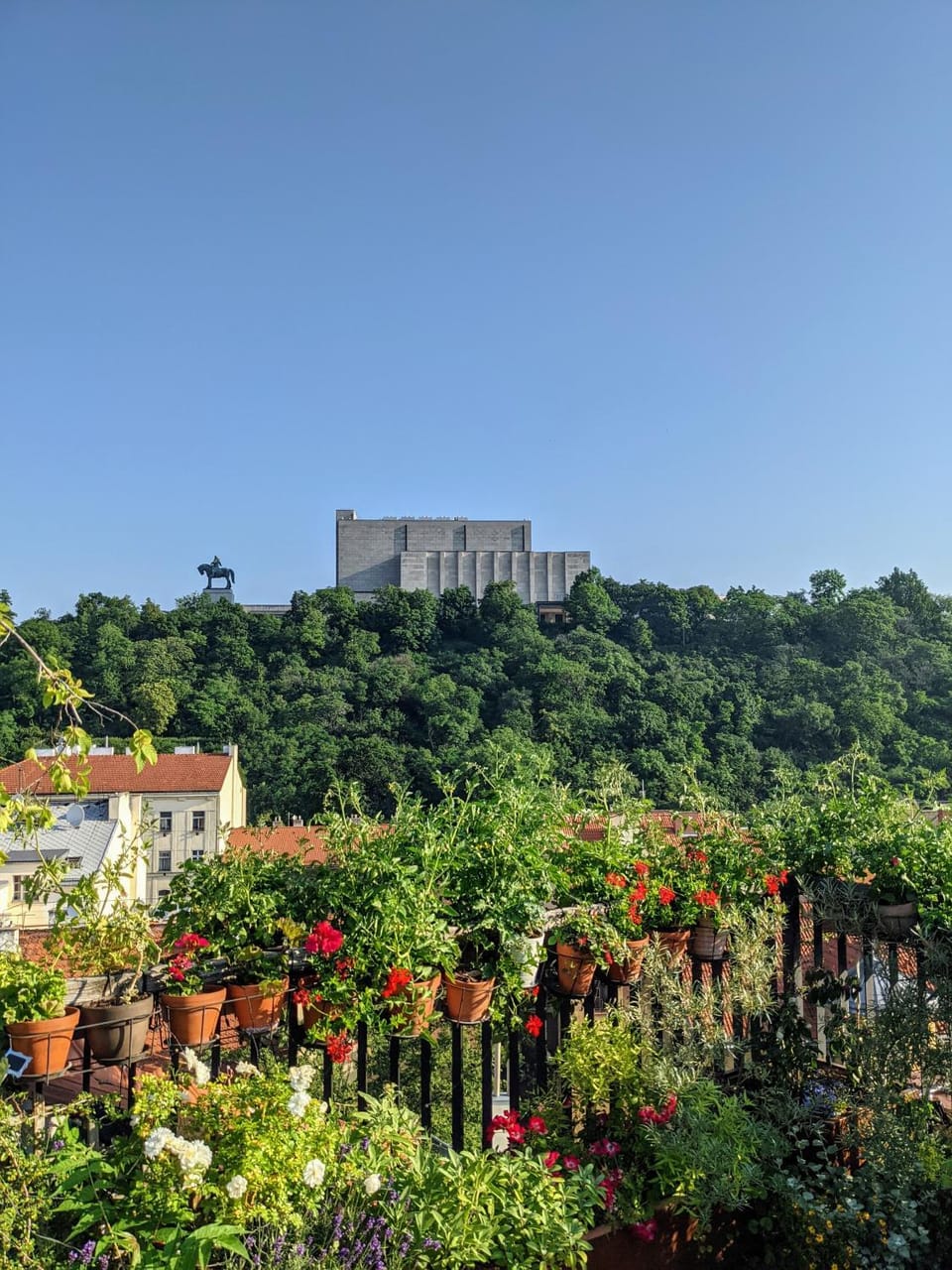 Balcony/Terrace, Garden view