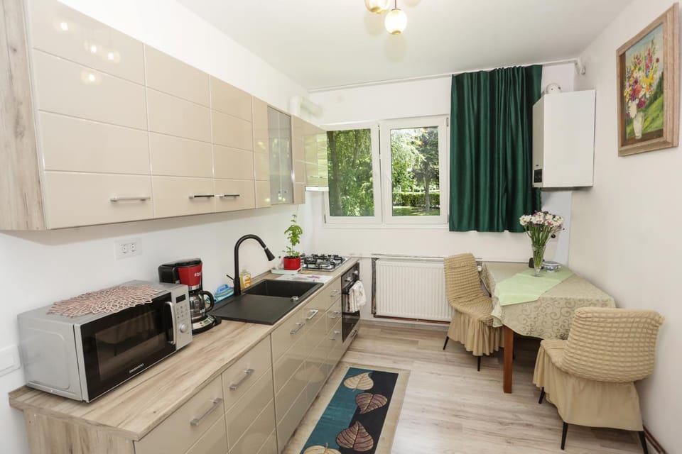 Casa din Parc Apartment in Cluj-Napoca