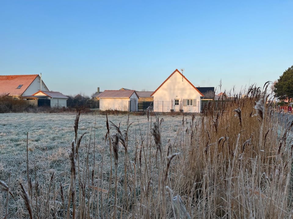 Winter, Sunrise