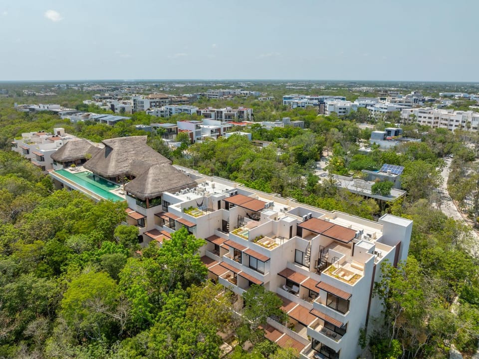 Day, Bird's eye view, Swimming pool