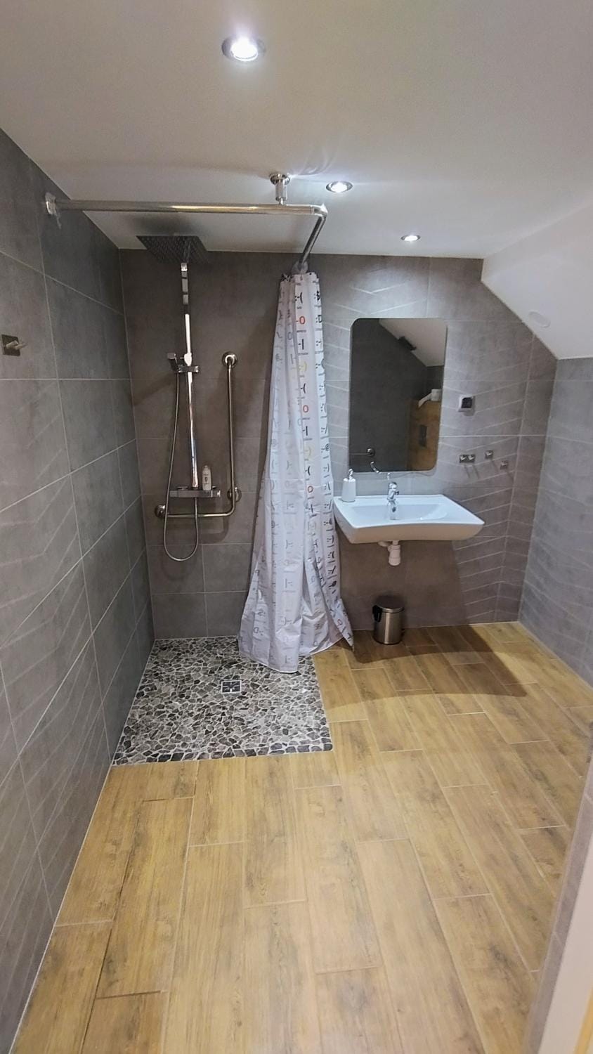 Shower, Bathroom, Facility for disabled guests, towels
