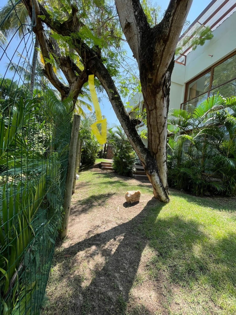 Garden view