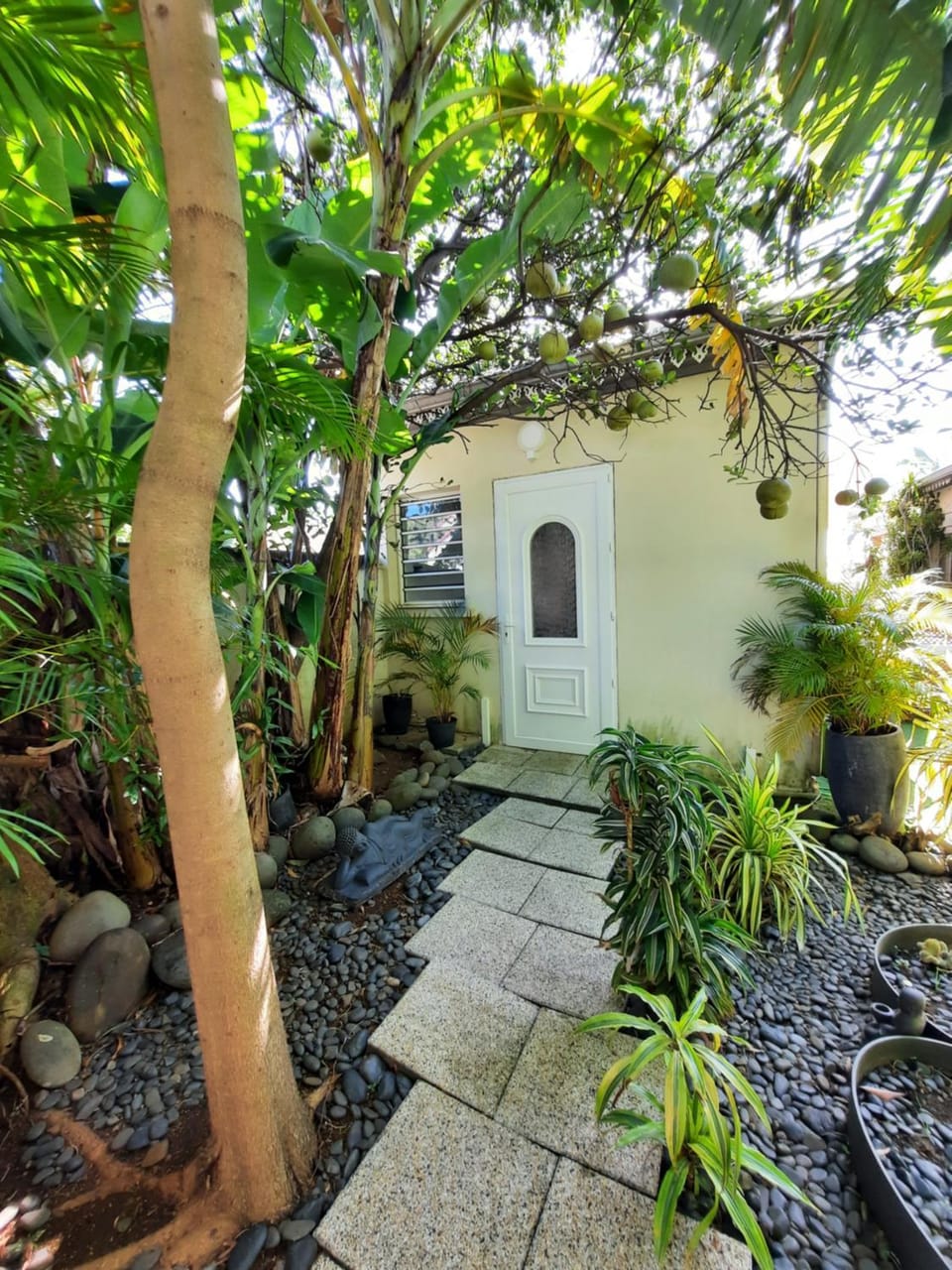 Jolie maisonnette, piscine, jacuzzi House in Réunion