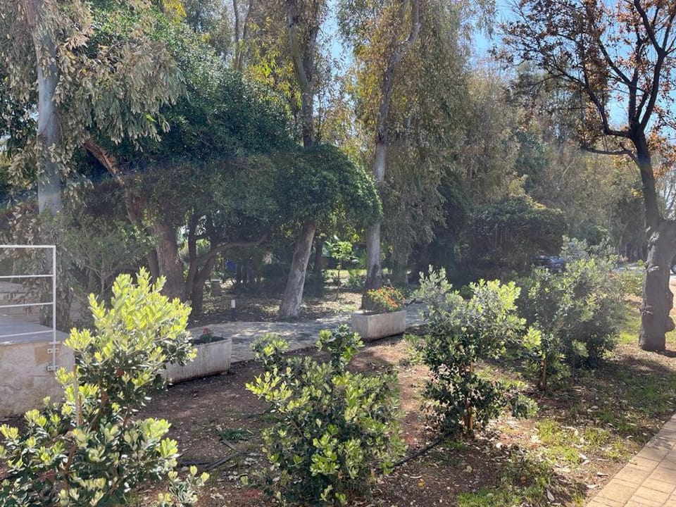 Garden view