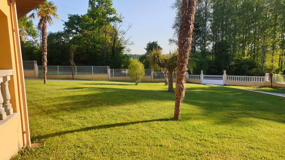 Day, Garden, Garden view