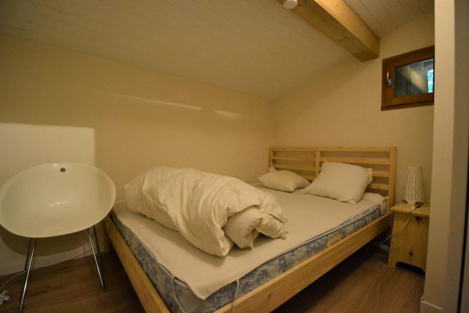 Chalet Leontine - Superbe chalet face aux montagnes proche des pistes MAE-3751 Chalet in Notre-Dame-de-Bellecombe