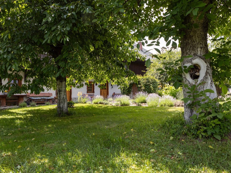 Property building, Summer, Garden view