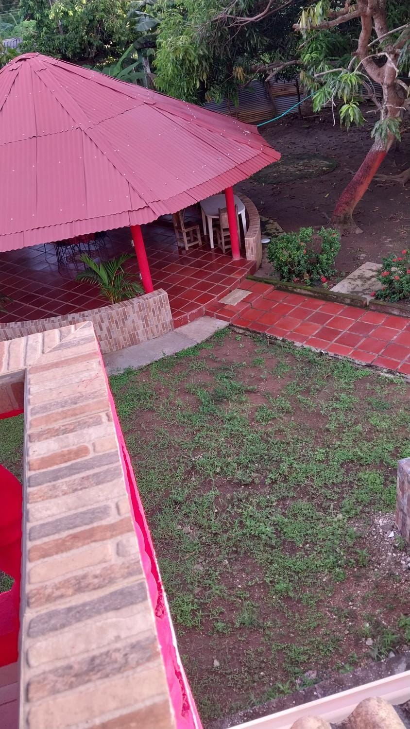 Day, Garden view