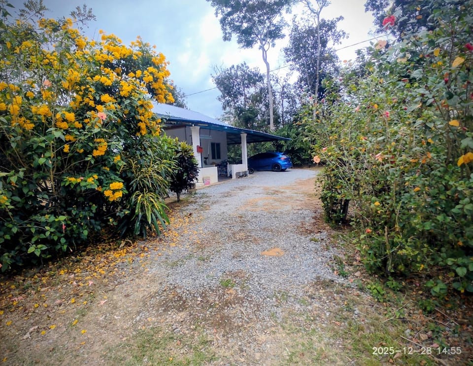 Facade/entrance, Day, Garden