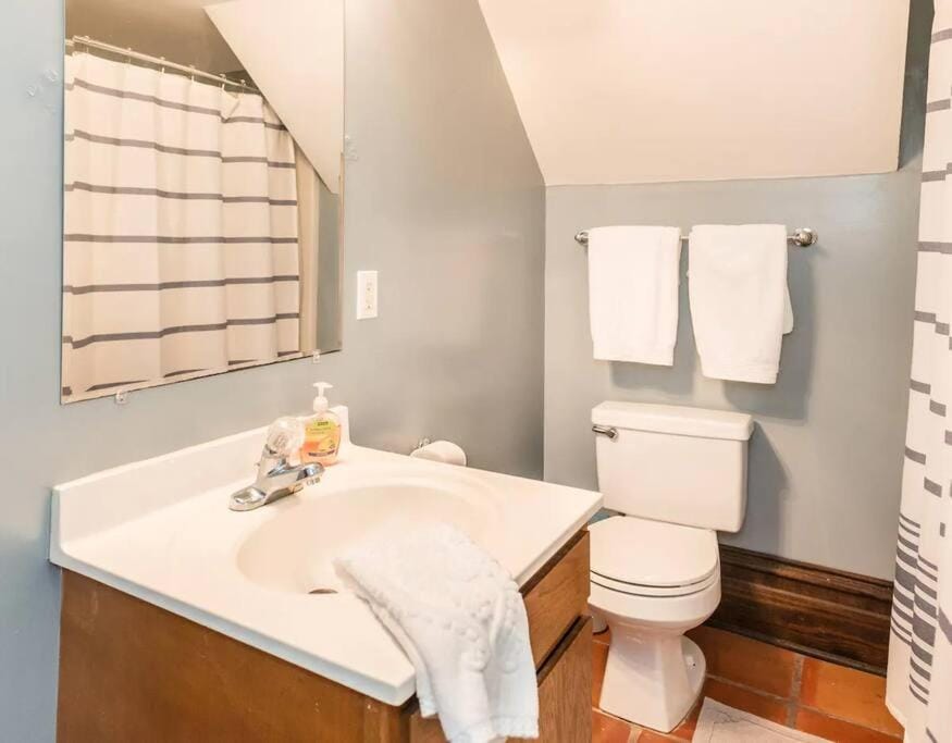 Big Blue House - Both Units - Near Forsyth Park House in Savannah