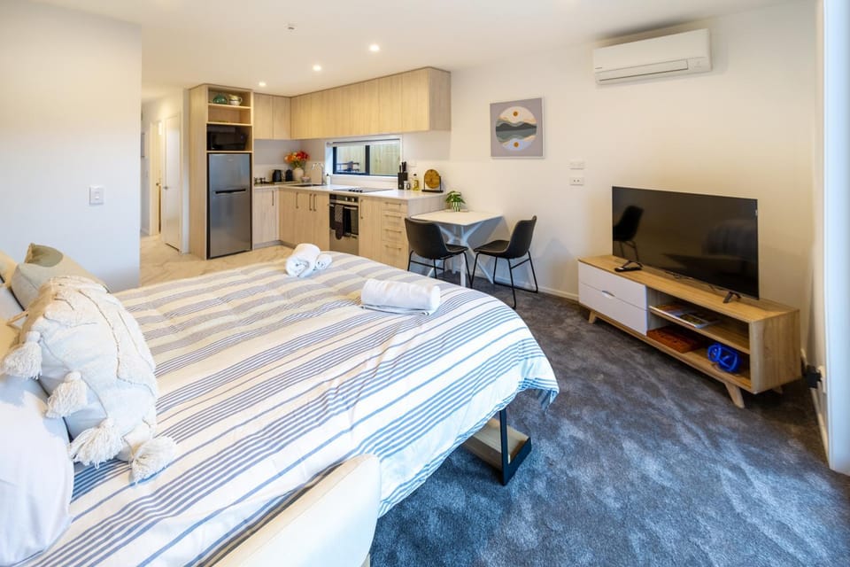 Bed, TV and multimedia, Living room, Photo of the whole room, Seating area, Dining area, Bedroom, oven, air conditioner