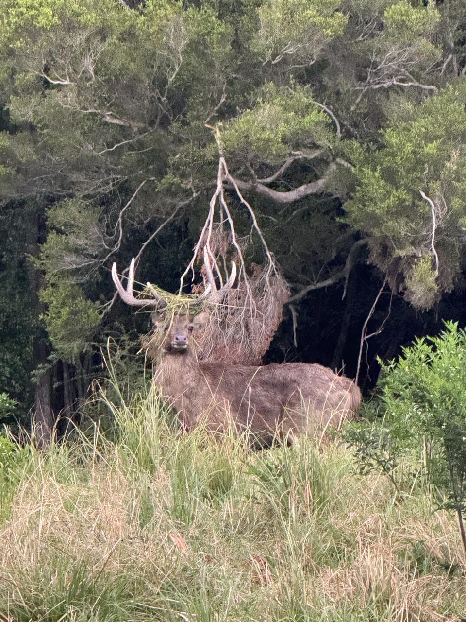 Deer Valley Farm Stay Illawarra sleeps up to 9 Farm Stay in Wollongong