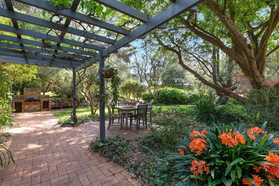 Patio, Natural landscape, Garden