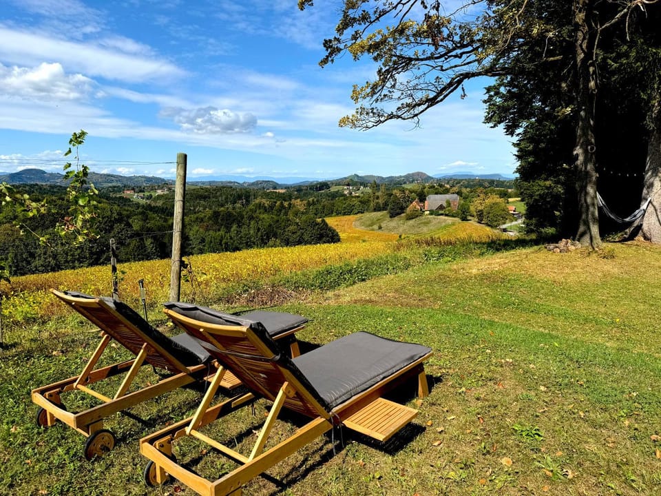 Day, Natural landscape, Mountain view, sunbed