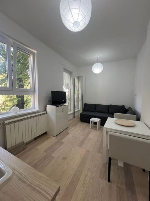Kopernikova Studio Apartment in Belgrade