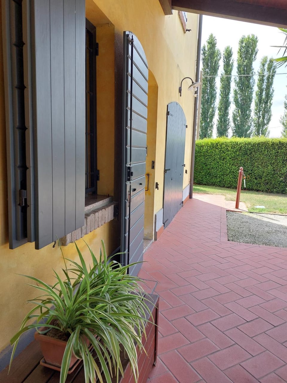 Day, Garden