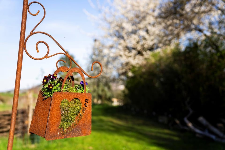 Spring, Garden view
