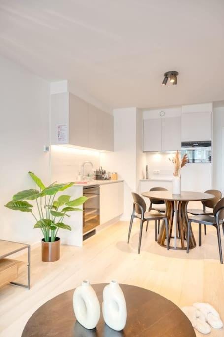 Peaceful Studio Getaway in Ostend Apartment in Ostend
