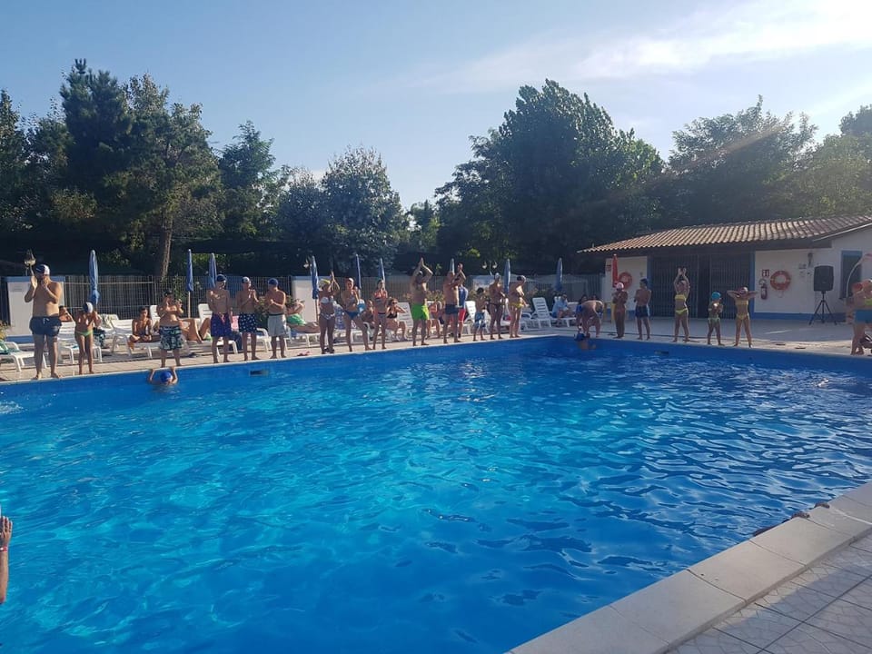 Activities, Pool view, Swimming pool