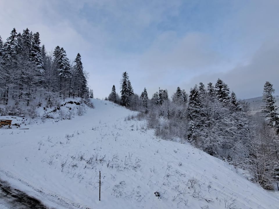 Off site, Neighbourhood, Winter, Skiing, Mountain view