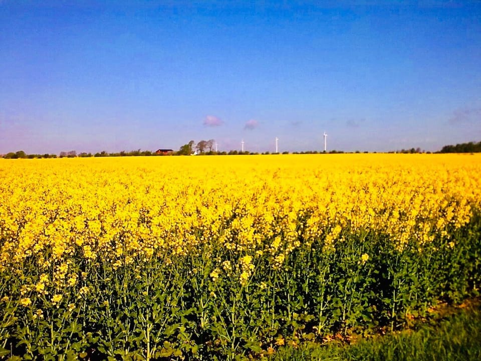 Natural landscape