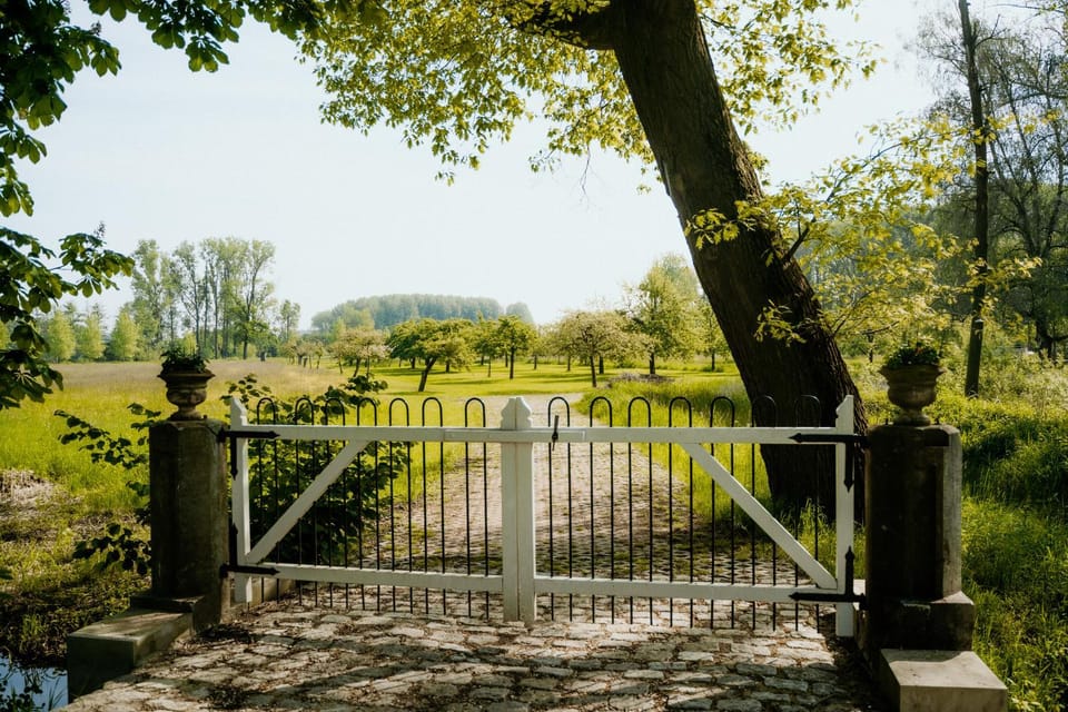 Spring, Day, Natural landscape, Garden, Garden view