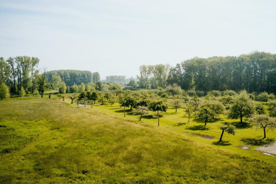 Spring, Day, Natural landscape