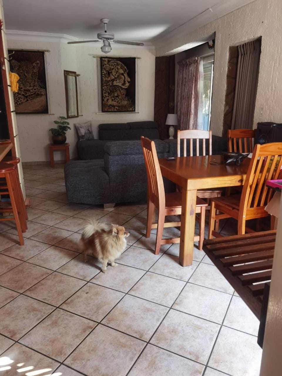 Bosveld Kuier Woonstel Apartment in North West, South Africa