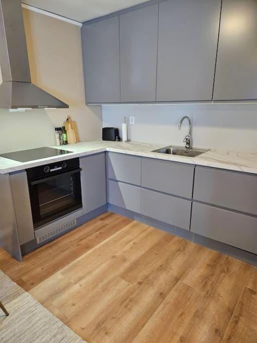 Kitchen or kitchenette, dishwasher, stove