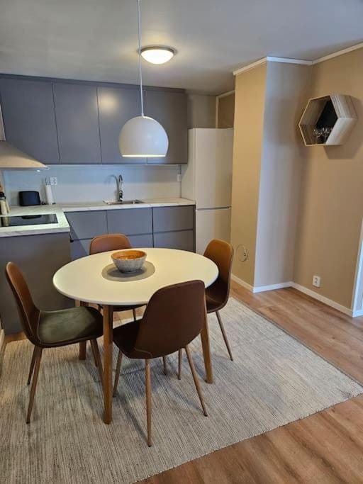 1 bedroom apt with parking Apartment in Troms Og Finnmark