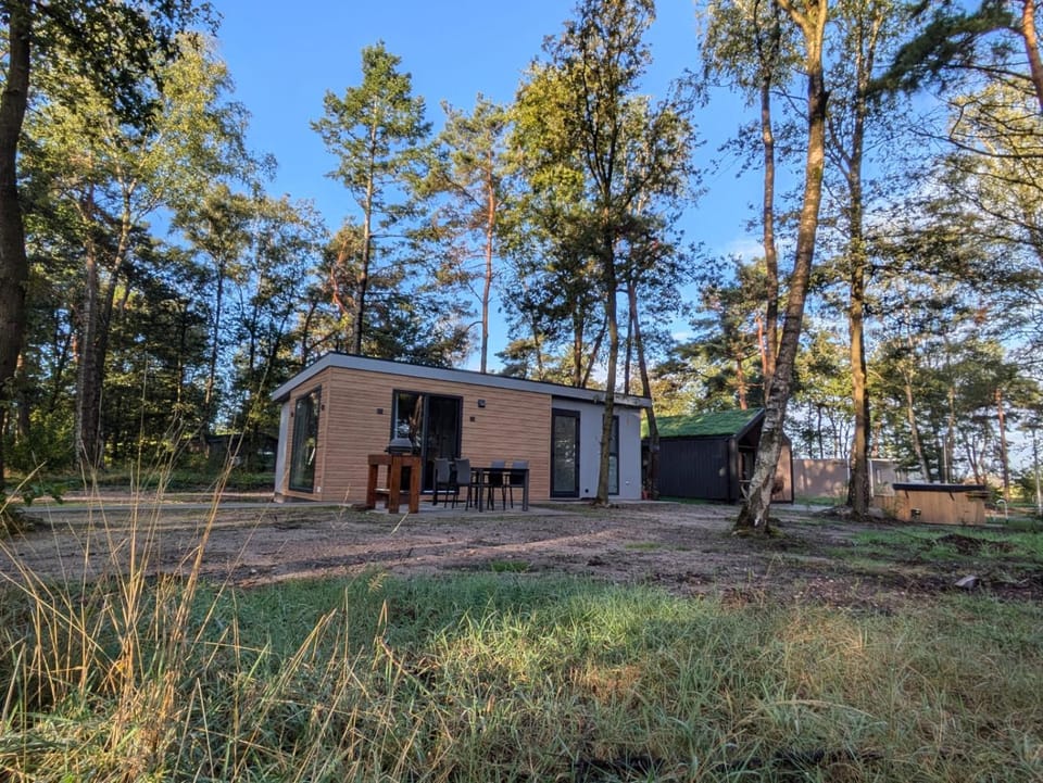 Property building, Day, Garden