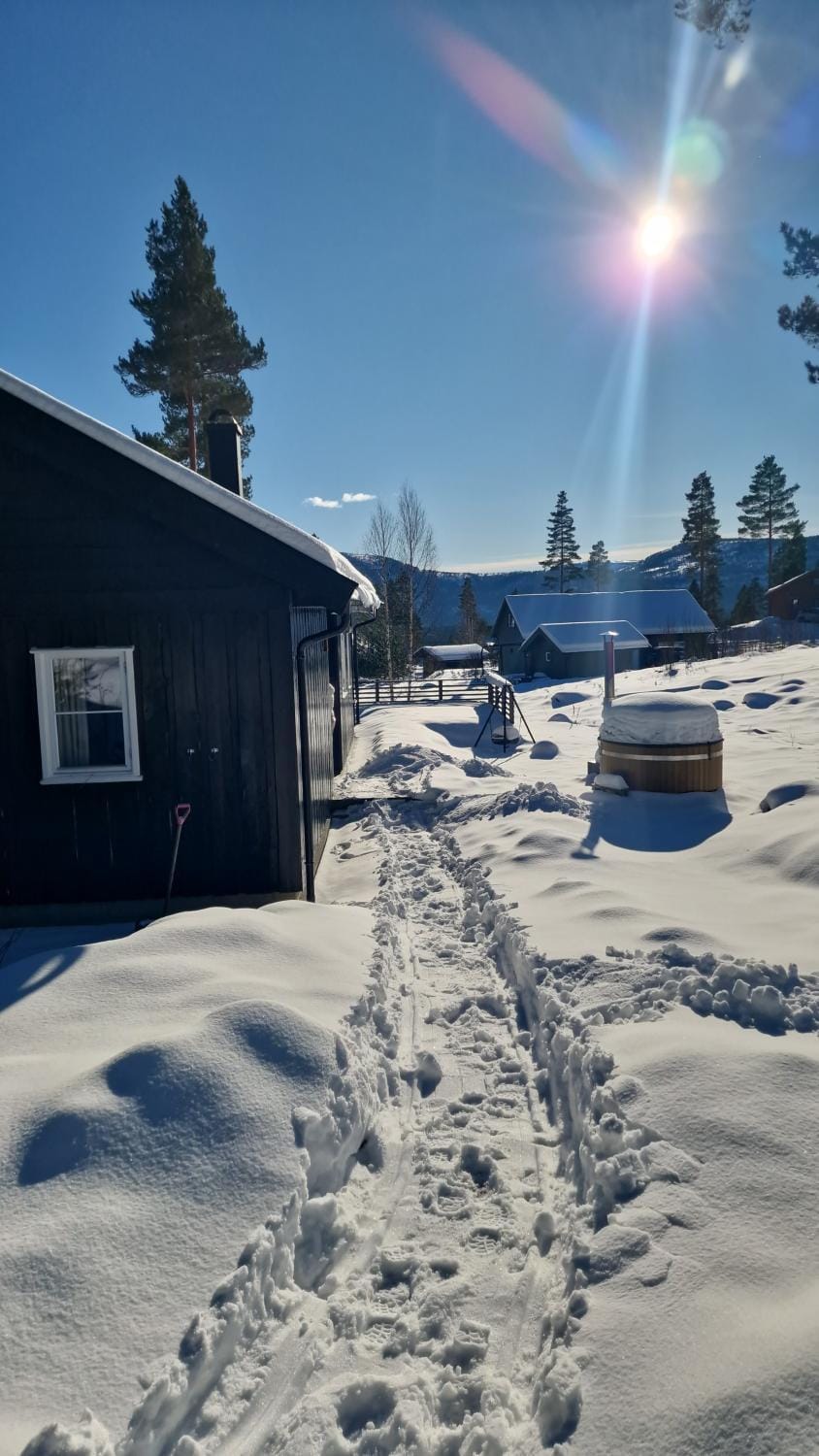 Chalet Vradal Chalet in Viken, Norway