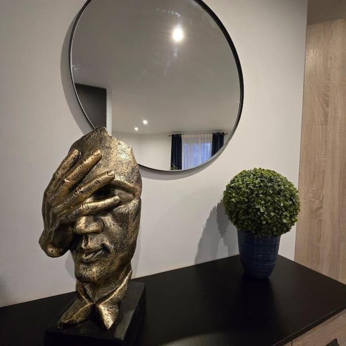 Le Contemporain Apartment in Annemasse