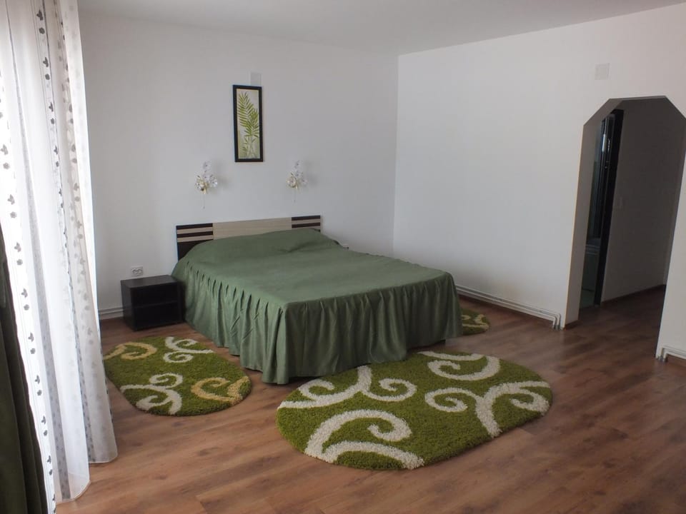 Pensiunea Eliza Bed and Breakfast in Romania