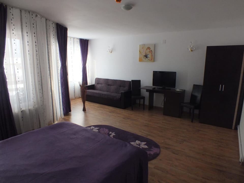 Pensiunea Eliza Bed and Breakfast in Romania